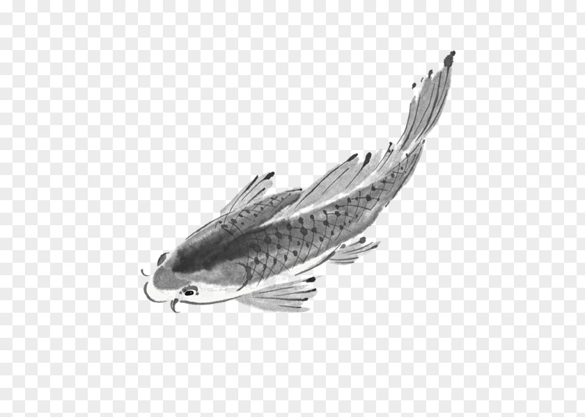 Ink Fish Koi Wash Painting Gongbi PNG