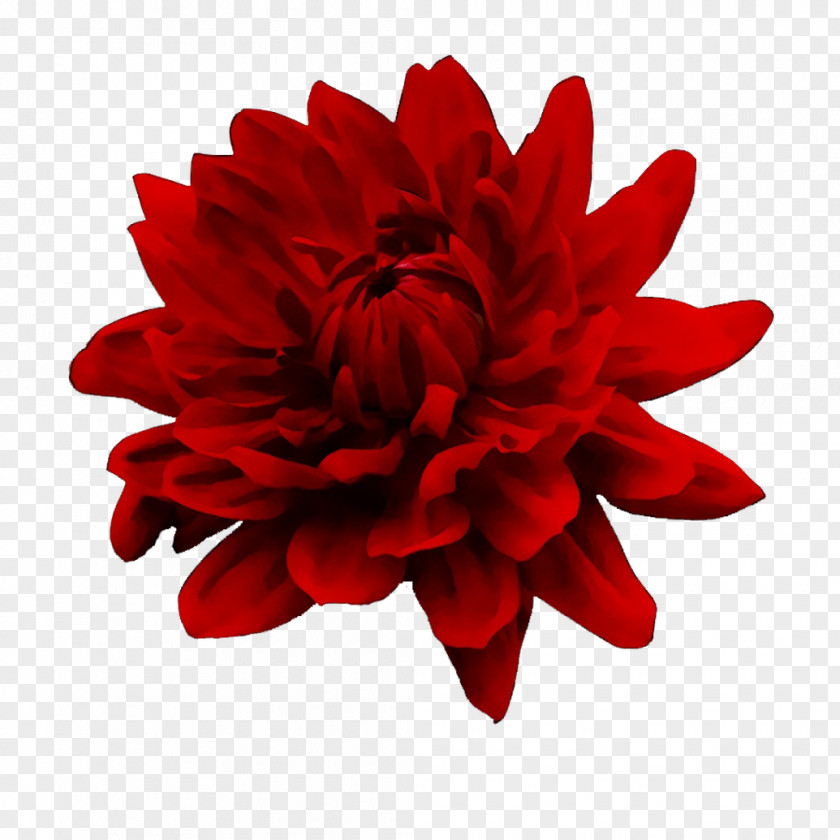 Red Barrette Flower Clip Art Hairpin PNG