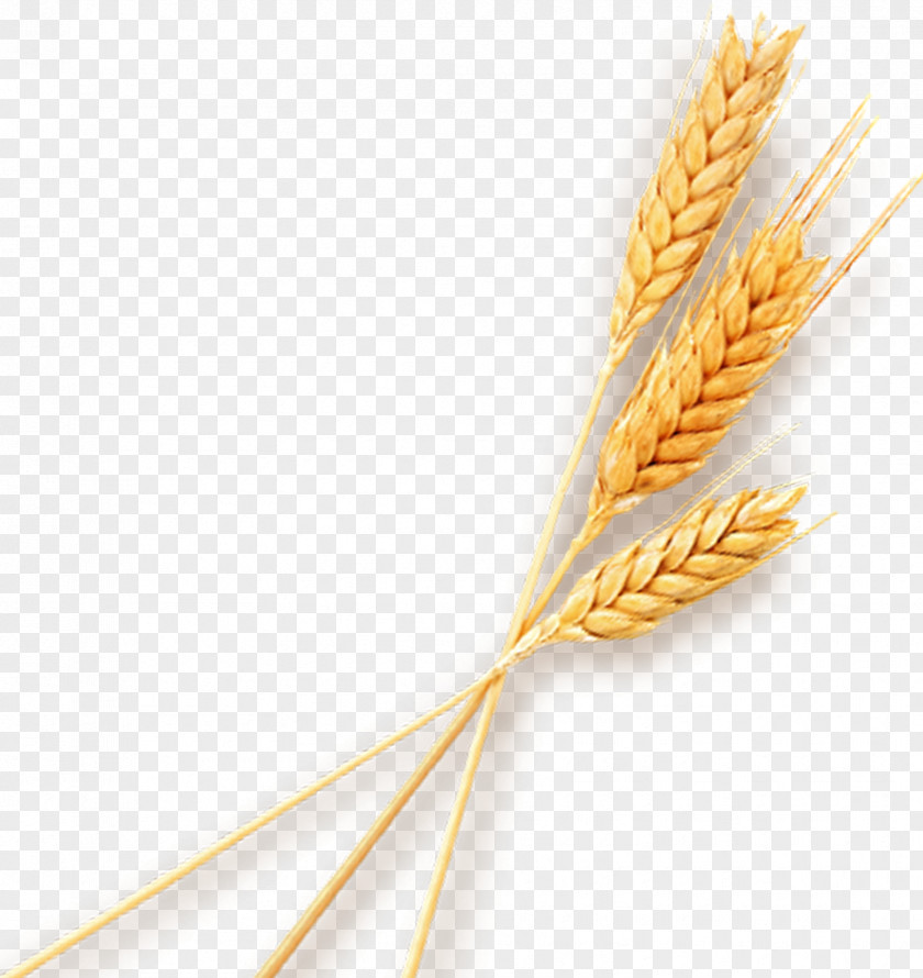 Three Wheat Gunny Sack PNG