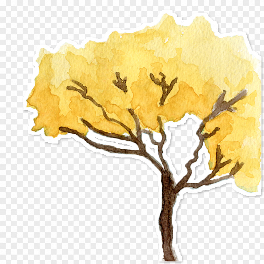 Adesivos Stamp Handroanthus Albus Art Cerrado Yellow Illustration PNG