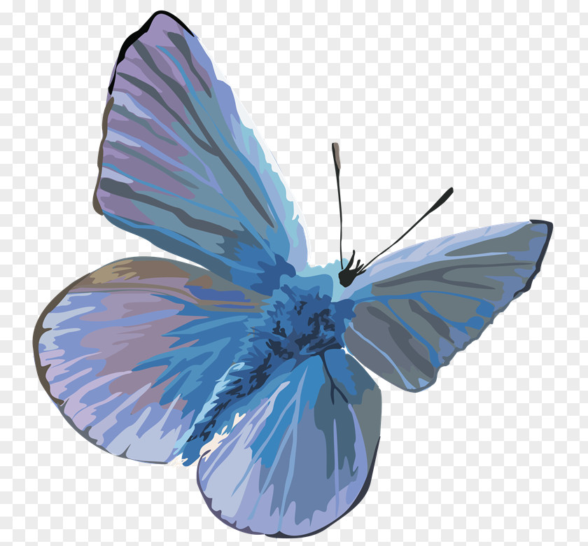 Gmp Butterfly PhotoScape Clip Art PNG