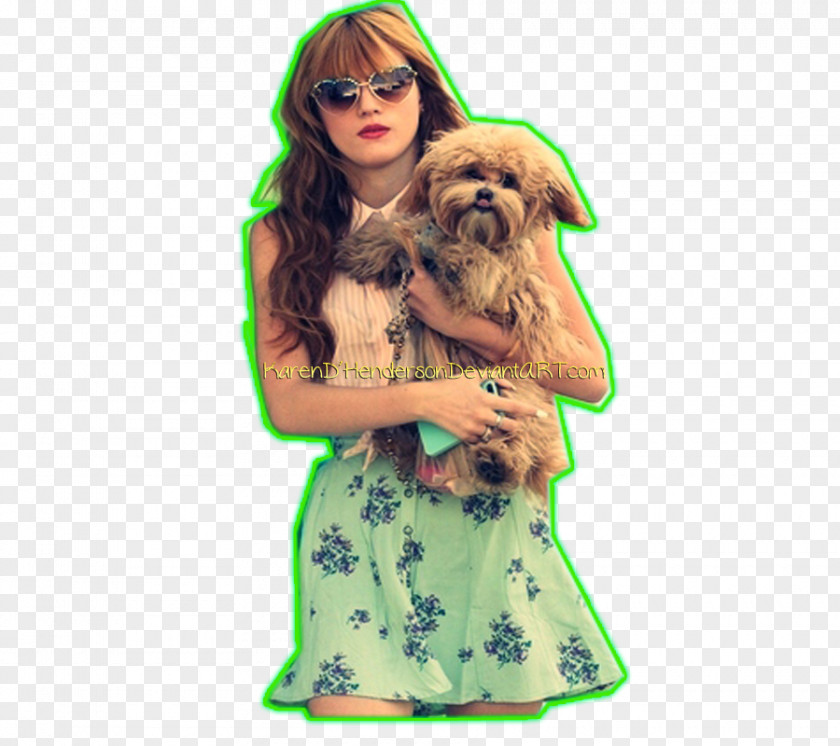 Puppy Dog Breed Toy Poodle Nintendogs PNG