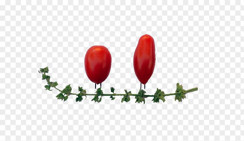 Red Tomato Cherry Rouge Tomate Vegetable PNG