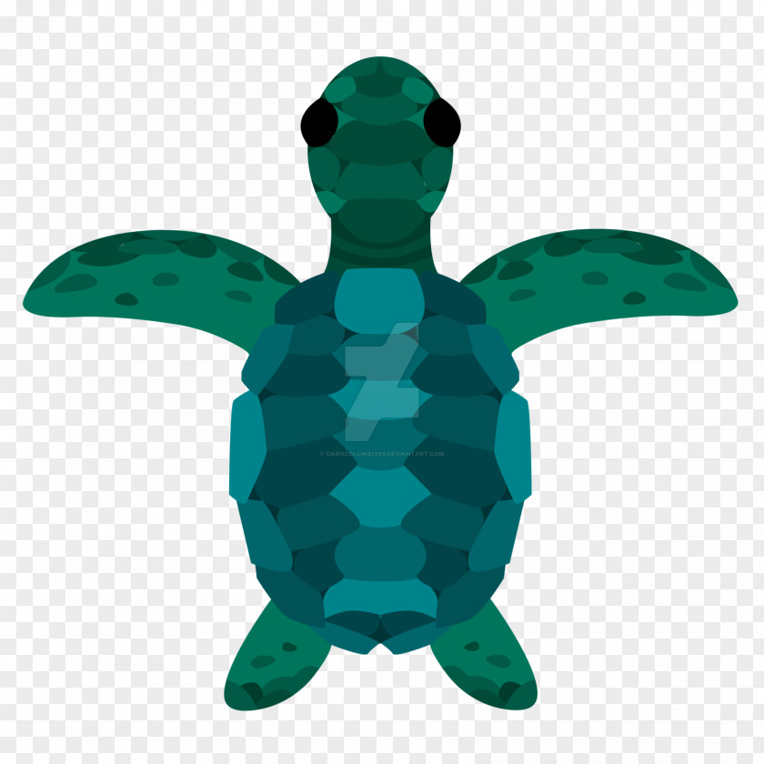 Sea Turtle Logo Seashell PNG
