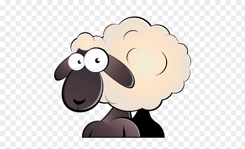 Sheep Cartoon Drawing PNG
