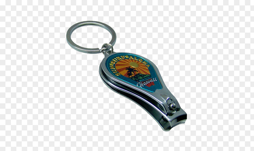 Turtle Key Chains KC Hawaii PNG