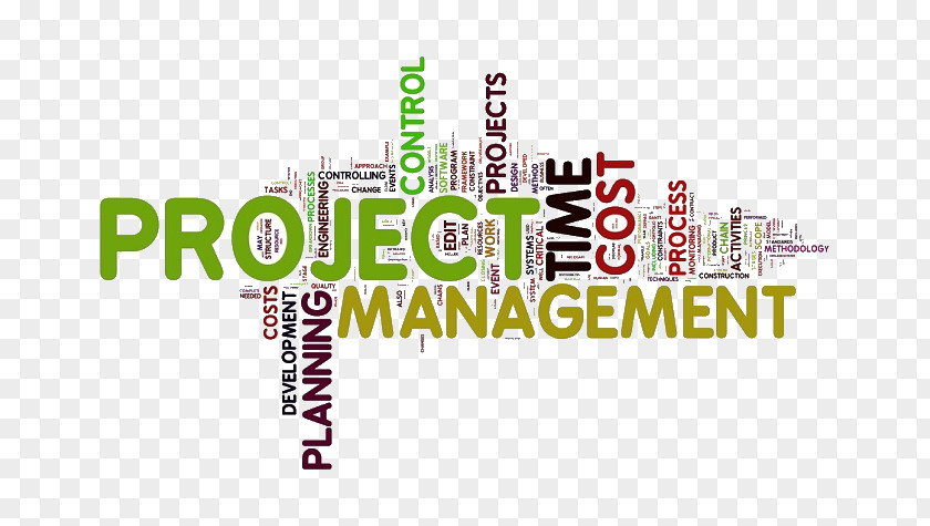 Business Project Management Body Of Knowledge Professional PNG