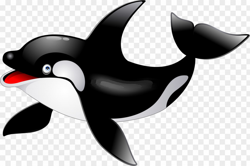 Killer Whale Baby Dolphin Clip Art PNG