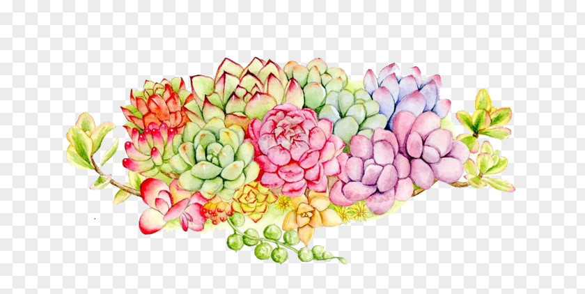 Multi-colored Bouquet Meat Succulent Plant Floral Design Watercolor Painting PNG