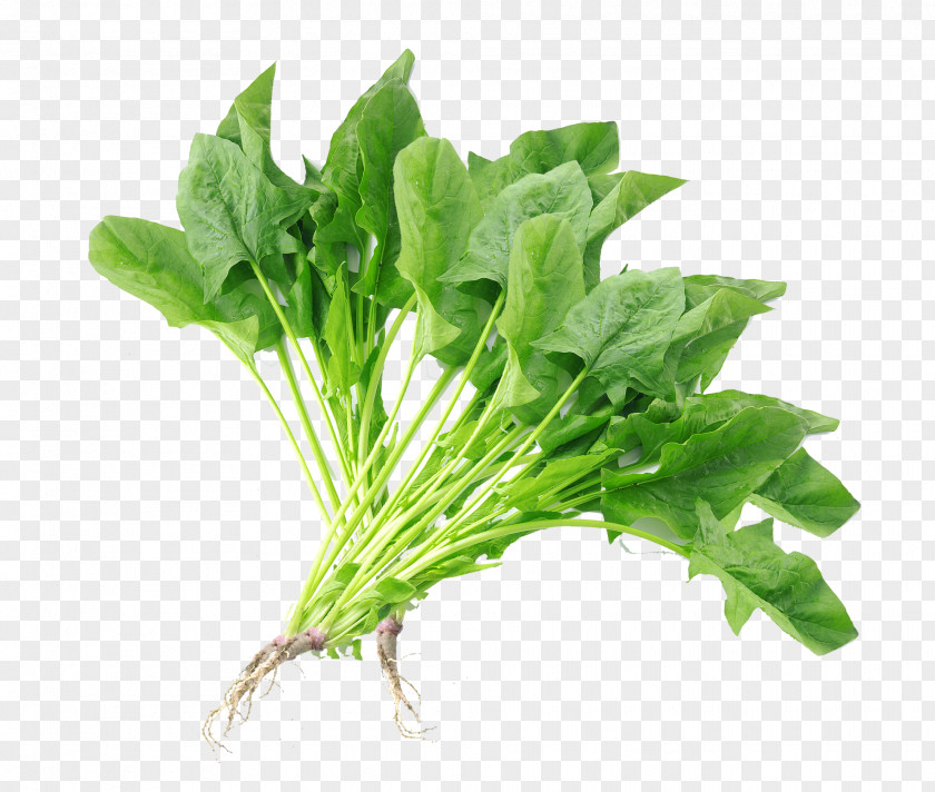 Spinach Greens Vegetables Chard Vegetable Komatsuna PNG