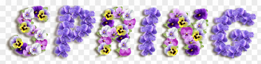 Spring New Lavender Font PNG