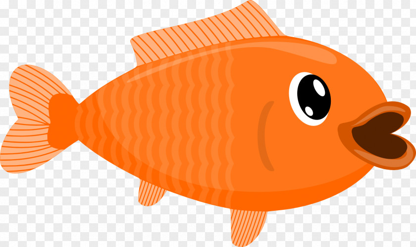 Feeder Fish Seafood Cartoon PNG
