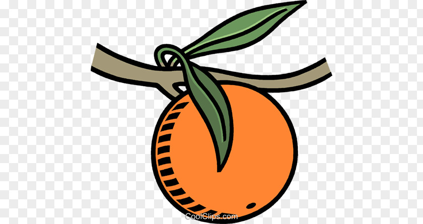 Pumpkin Food Orange Eating Clip Art PNG