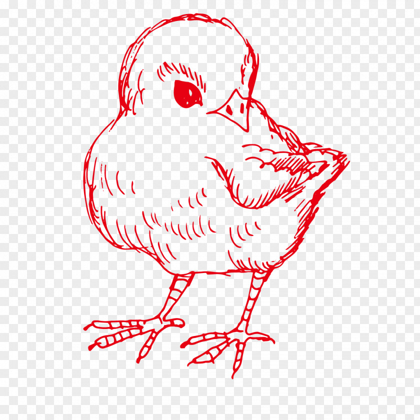 Vector Red Chicks Chicken Illustration PNG