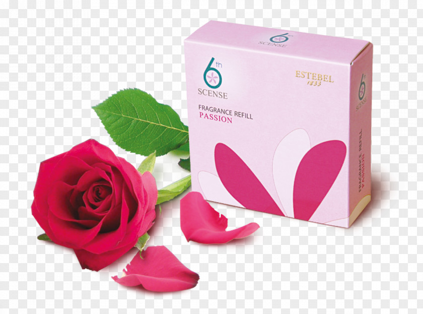 Aromatherapy Garden Roses Perfume Aroma Compound Odor PNG