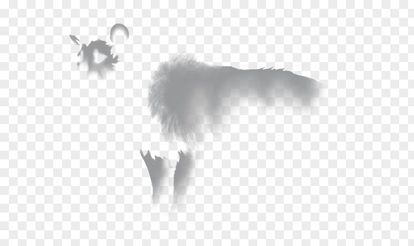 Black And White Lion Desktop Wallpaper Energy Font PNG