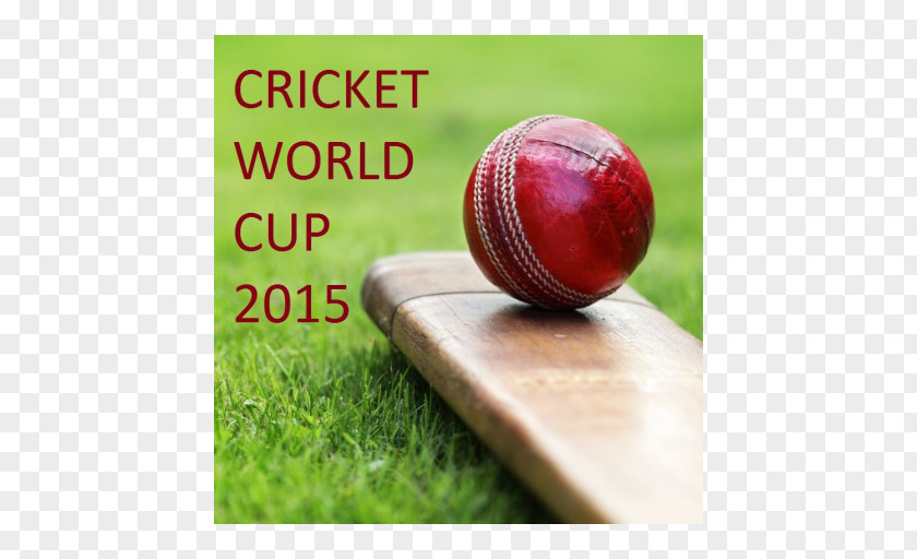 Cricket World Cup 2015 India National Team ICC Champions Trophy Sport PNG