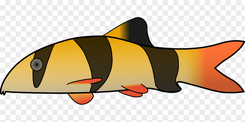 Fish Clip Art PNG