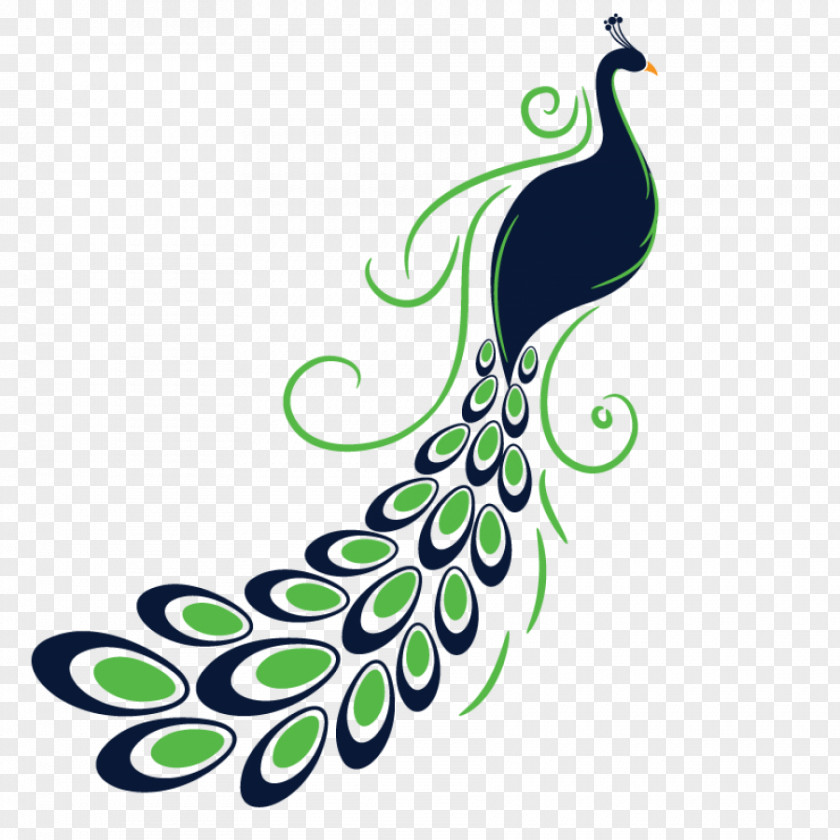 Peacock Feather Peafowl Sticker Clip Art PNG
