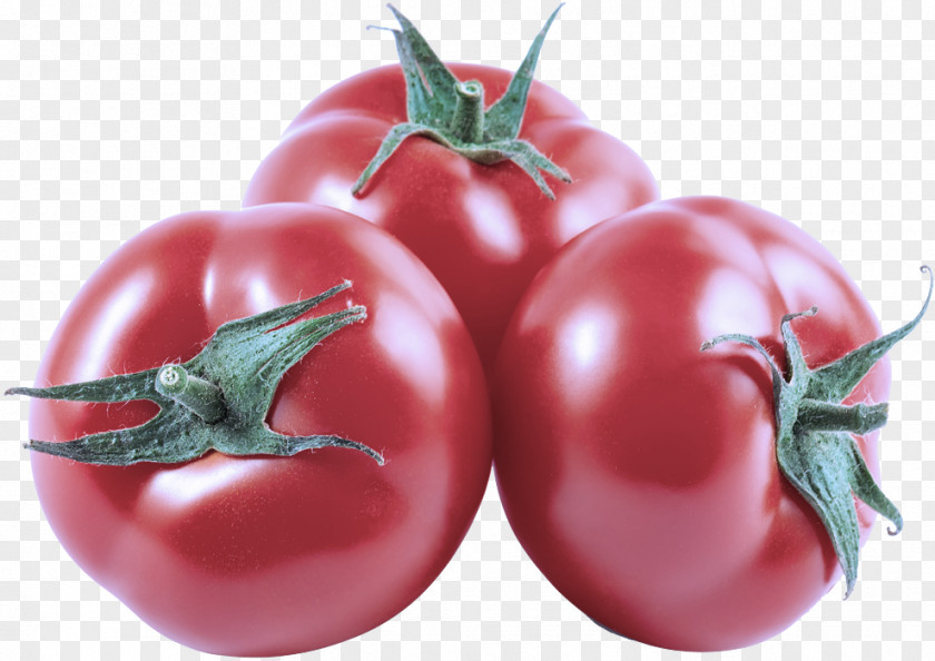 Plum Tomato Plant PNG