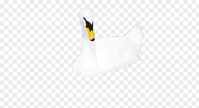 Swan Duck Goose Flightless Bird PNG
