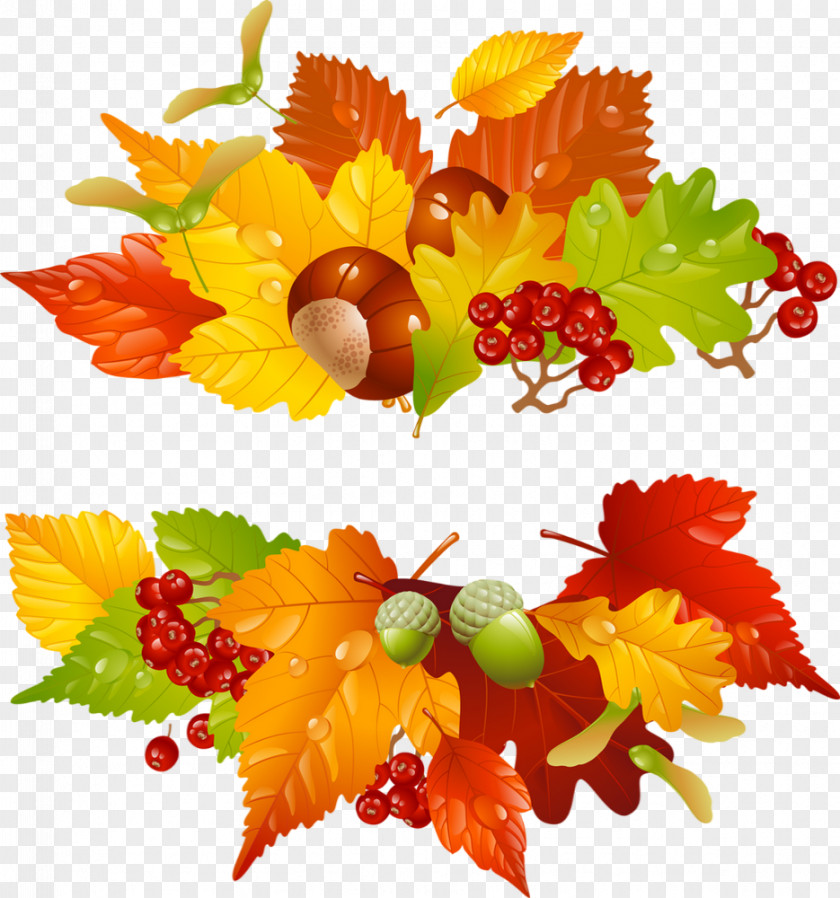 Autumn Clip Art Wreath Image Vector Graphics PNG
