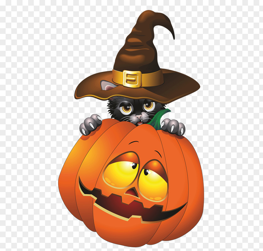 Bienvenidos Insignia Cat Jack-o'-lantern Halloween Pumpkins PNG