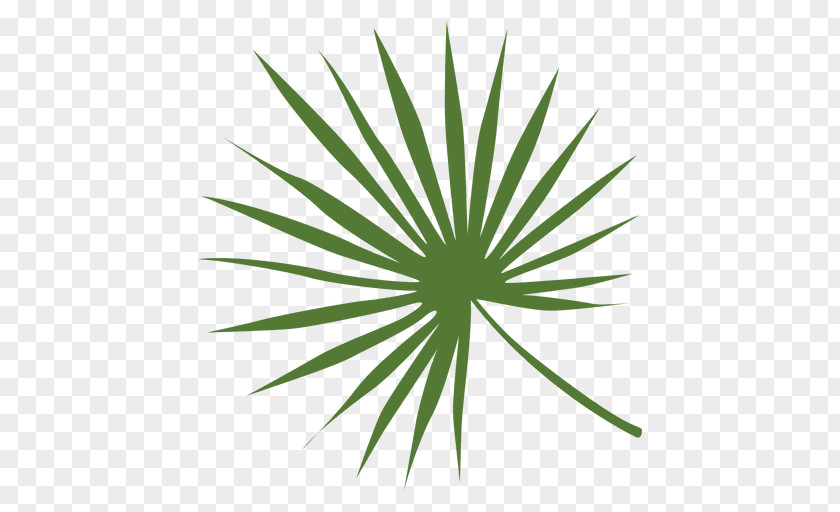 Folha Leaf PNG