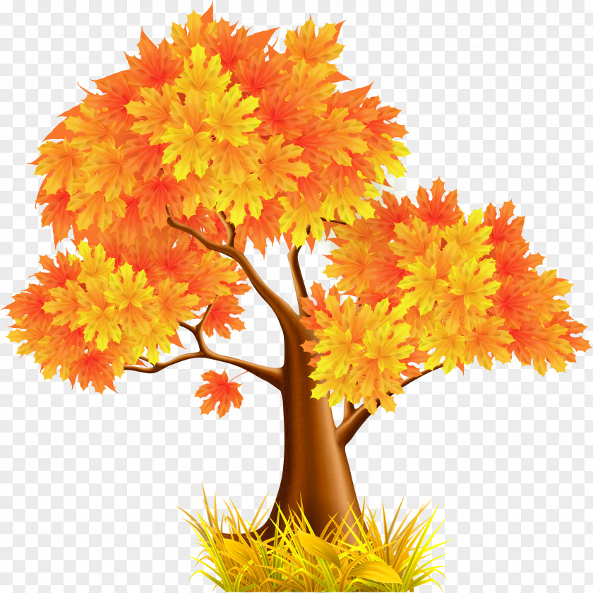 Golden Leaves Autumn Clip Art PNG