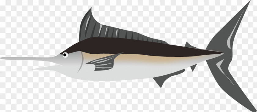 Hand Drawn Shark Sashimi Clip Art PNG