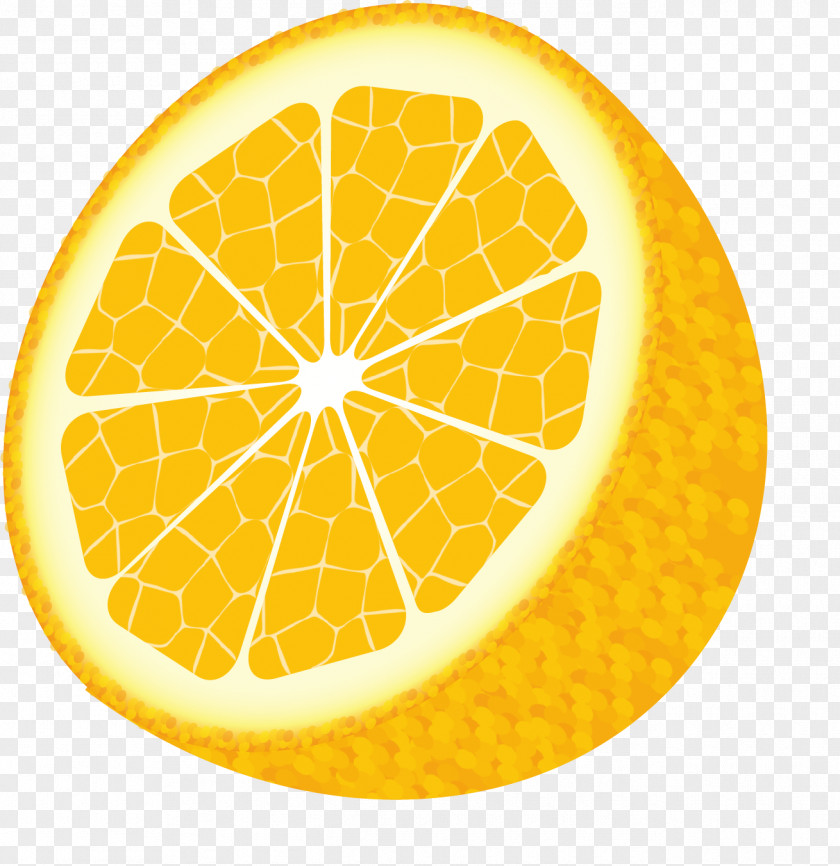 Lemon Vector Drawing PNG