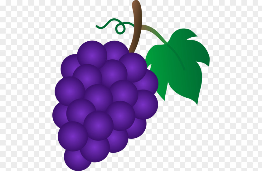 Purple Grapes Cliparts Common Grape Vine Sultana Clip Art PNG
