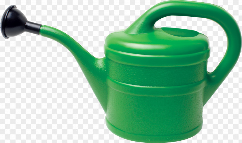 World Wide Web Presentation Watering Cans Clip Art PNG