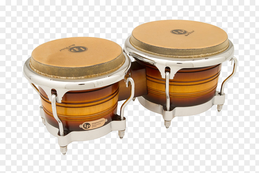 Bongo Drum Latin Percussion Conga PNG