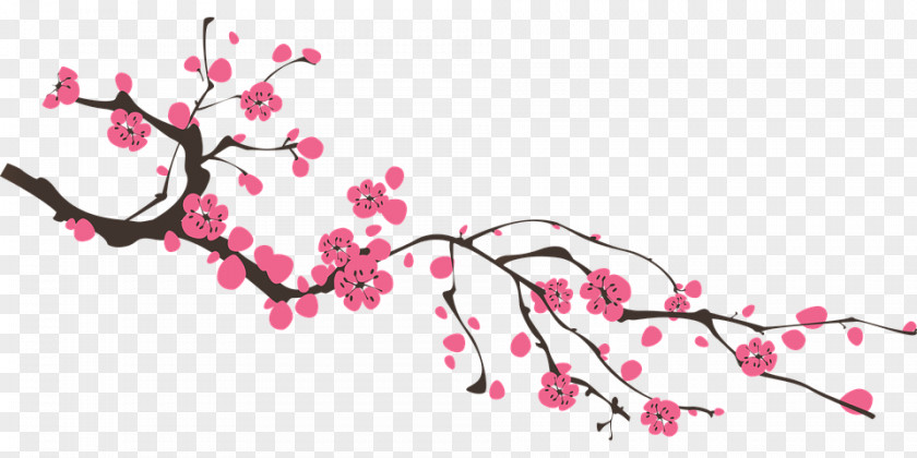 Cherry Blossom Clip Art Image Desktop Wallpaper PNG