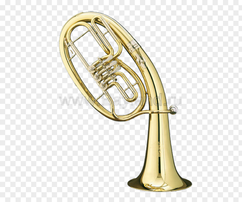 Musical Instruments Saxhorn Tenorhorn Euphonium French Horns Brass PNG