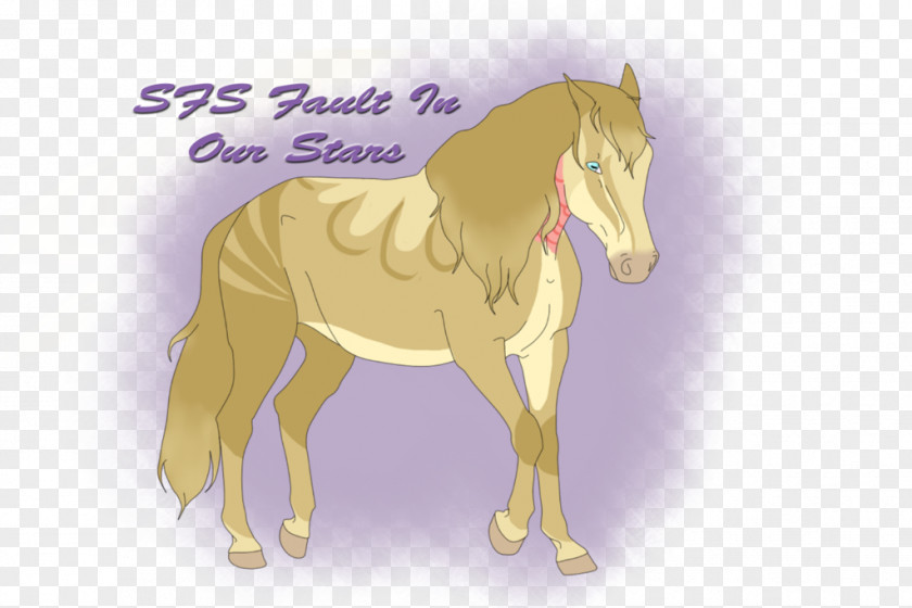 Mustang Mane Foal Colt Stallion PNG