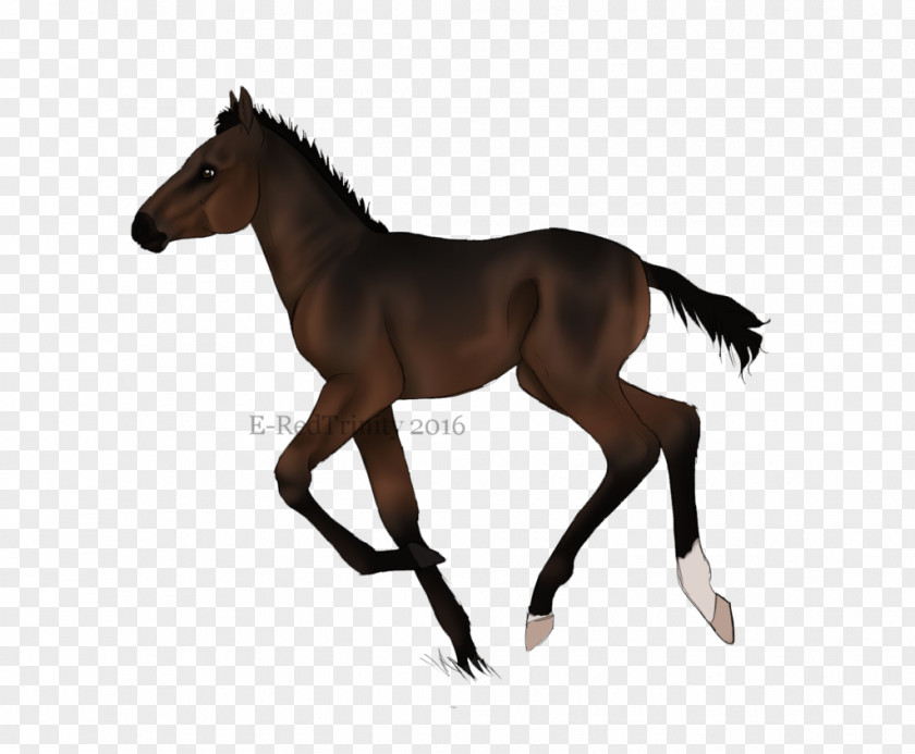 Mustang Pony Stallion Foal Silhouette PNG