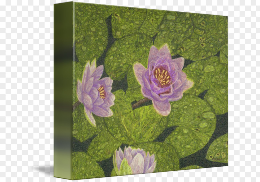 Painting Fine Art Mural Canvas PNG