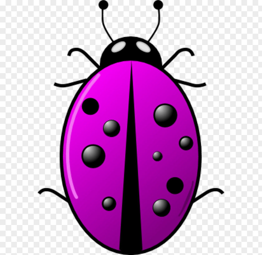 Surveillance Camera Clipart Beetle Ladybird Clip Art PNG
