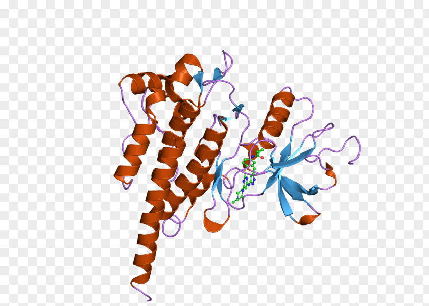 ABL2 Oncogene Enzyme PNG