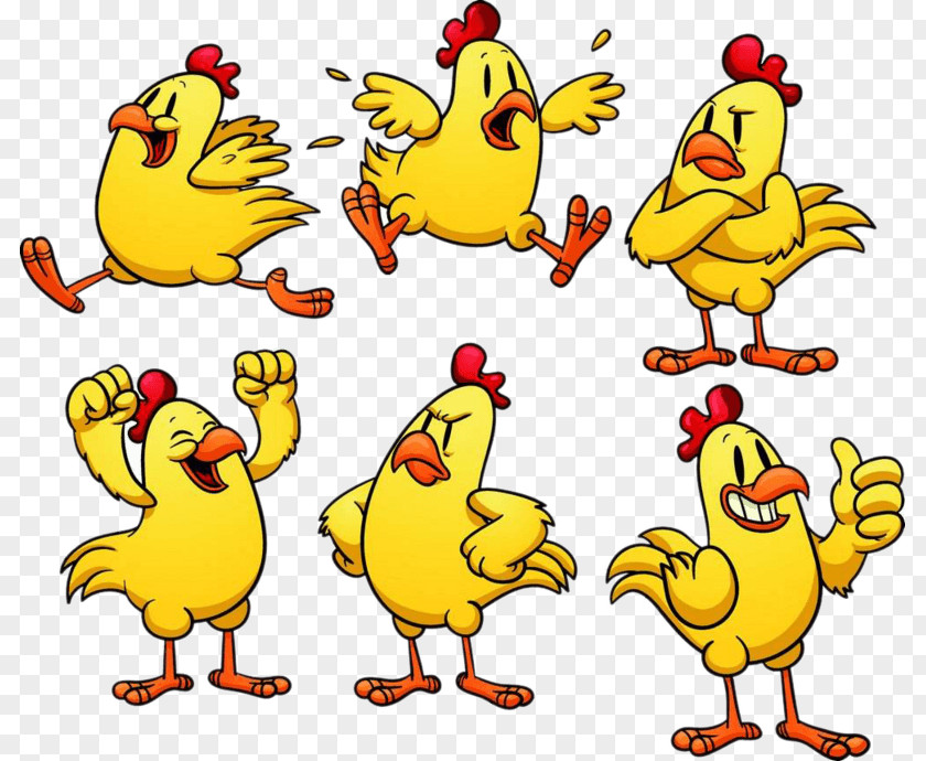 Cartoon Chicken Vector Graphics Drawing Image PNG