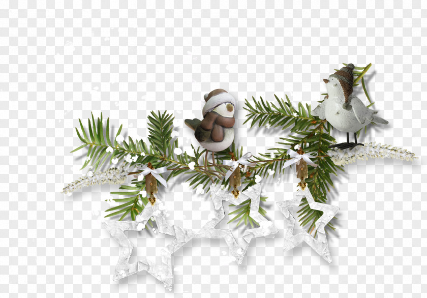 Foliage Decoration Christmas Ornament Scrapbooking Clip Art PNG