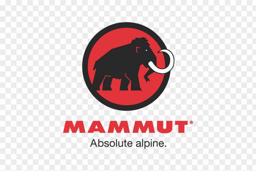 Mammoth Mammut Sports Group AG Gym Shorts Clothing PNG
