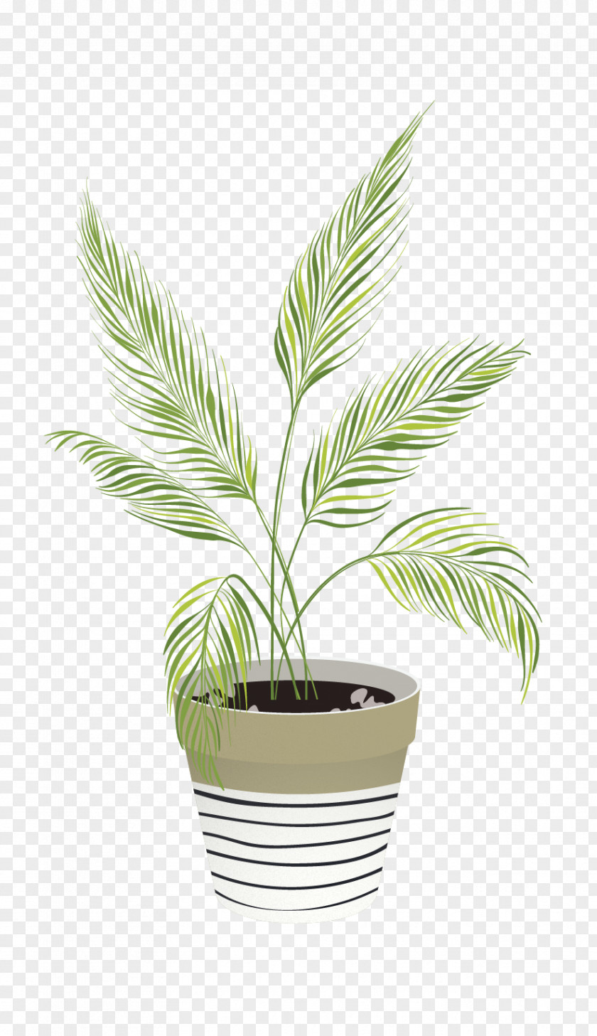 Painting Palm Trees Houseplant Drawing Image Illustration PNG