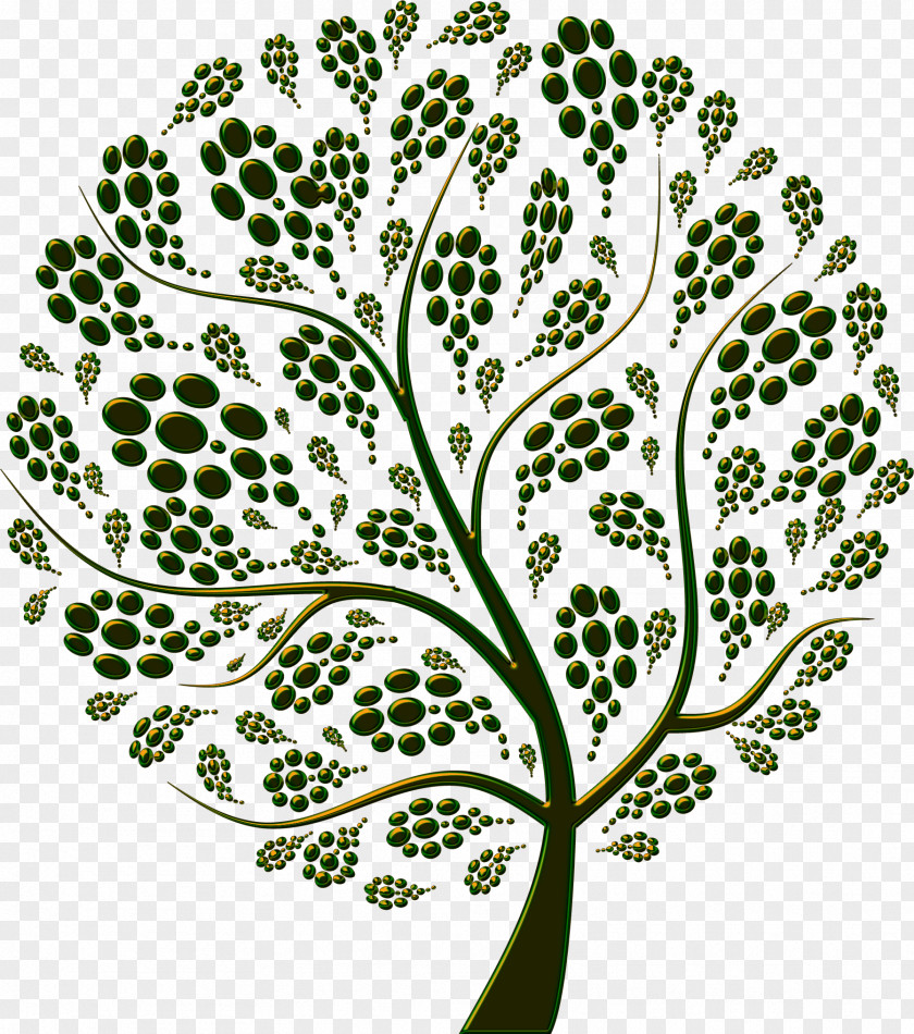 Green Tree Funeral Celebrant Celebrancy Ceremony Marriage Officiant PNG