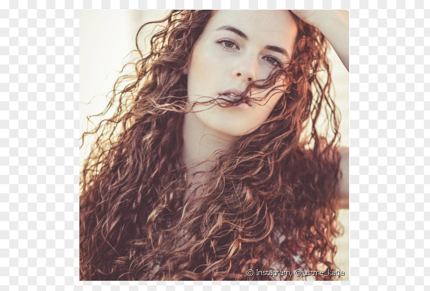 Hair Long Coloring Brown Red PNG