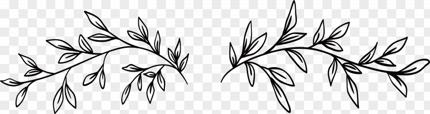 Hand-painted Leaves Flower Vine Black And White PNG