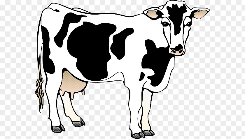 Murrah Buffalo Holstein Friesian Cattle Dairy Sound Effect Heifer PNG