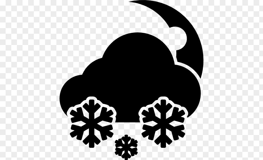 Snow Storm Weather Cloud PNG